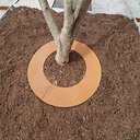 Bordure d'arbre TREEBORDER Diam.50cm