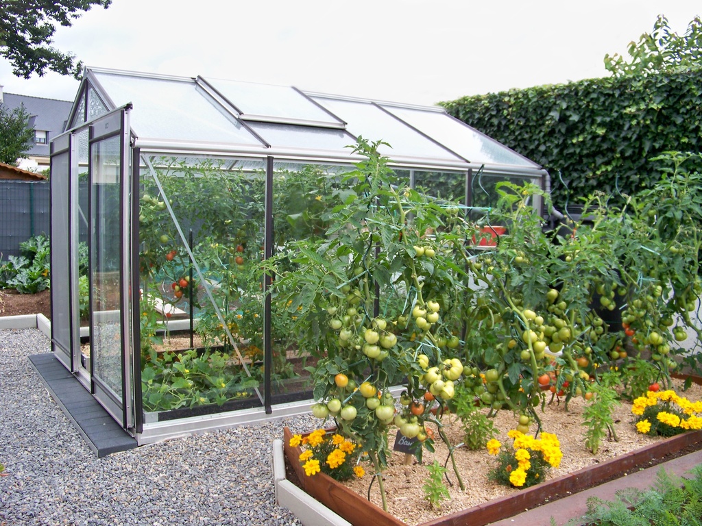 Serre ACD R204H SILVERLINE 2,32 x 2,98m - 6,91m²- PROMO * (Belgique, ALU, Sans montage, pleine terre)