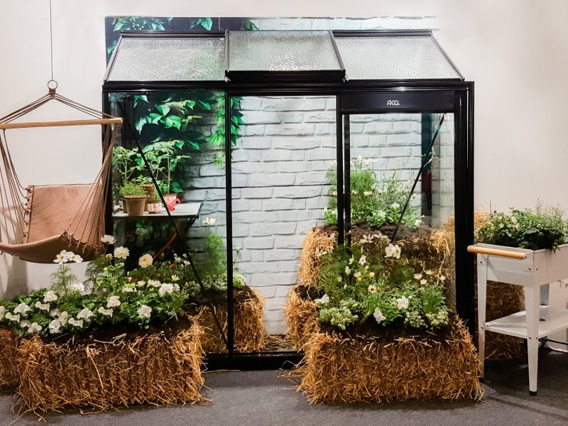 Serre ACD MICCOLO M03 (ALU, Sans montage, pleine terre, Belgique & Luxembourg)