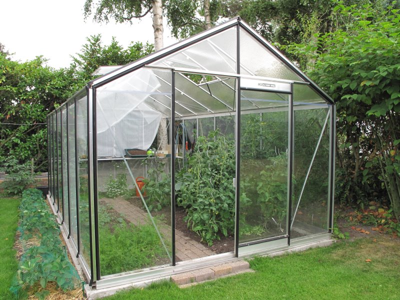 Serre ACD R309H Prestige (ALU, Sans montage, Sans Toile d'ombrage, pleine terre, Sans décoration, Sans rehaussement, Belgique & Luxembourg)