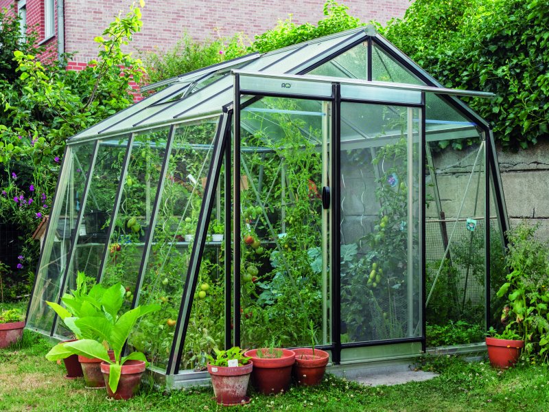 Serre ACD S104H Prestige -PROMO- (ALU, Sans montage, Sans Toile d'ombrage, pleine terre, Sans décoration, Sans rehaussement, Belgique & Luxembourg)