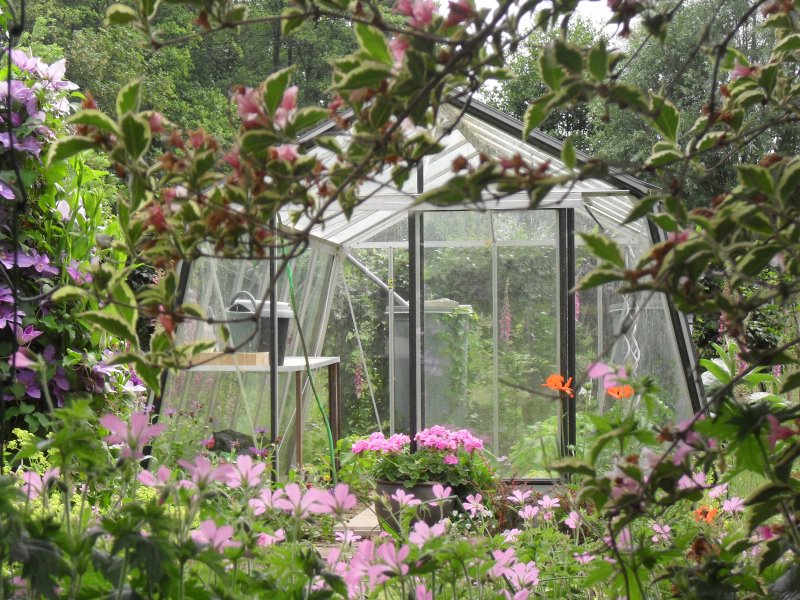 Serre ACD S105H Prestige (ALU, Sans montage, Sans Toile d'ombrage, pleine terre, Sans décoration, Sans rehaussement, Belgique & Luxembourg)