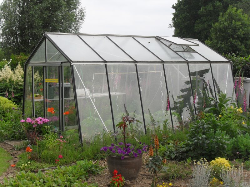 Serre ACD S109H Prestige (ALU, Sans montage, Sans Toile d'ombrage, pleine terre, Sans décoration, Sans rehaussement, Belgique & Luxembourg)