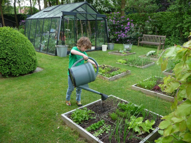 Serre ACD S205H Prestige (ALU, Sans montage, Sans Toile d'ombrage, pleine terre, Sans décoration, Sans rehaussement, Belgique & Luxembourg)