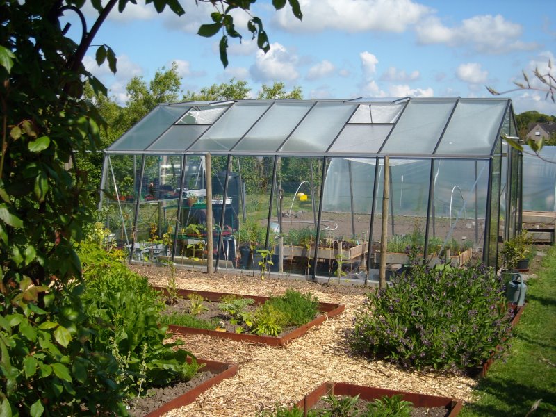 Serre ACD S208H Prestige -PROMO- (ALU, Sans montage, Sans Toile d'ombrage, pleine terre, Sans décoration, Sans rehaussement, Belgique & Luxembourg)