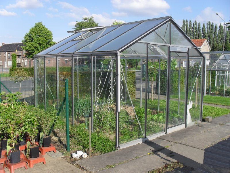 Serre ACD R305H Prestige BLACKLINE -PROMO- (Sans montage, Sans Toile d'ombrage, pleine terre, Sans décoration, Sans rehaussement)