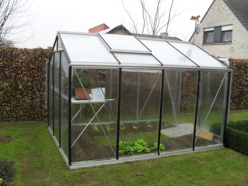 Serre ACD R204H Prestige - PROMO (Belgique, ALU, Sans montage, Sans Toile d'ombrage, pleine terre, Sans décoration, Sans rehaussement)